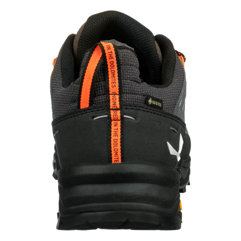 Alp Trainer 2 GTX Bungee Cord | Juoda
